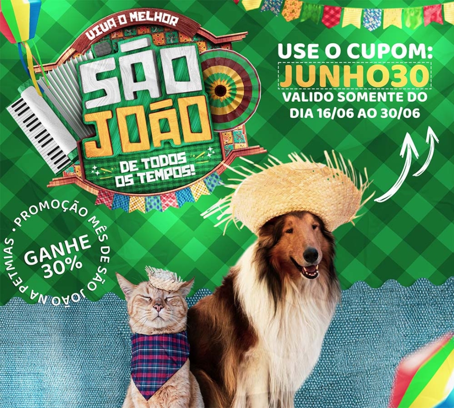 SÃO_JOÃO_BANNER